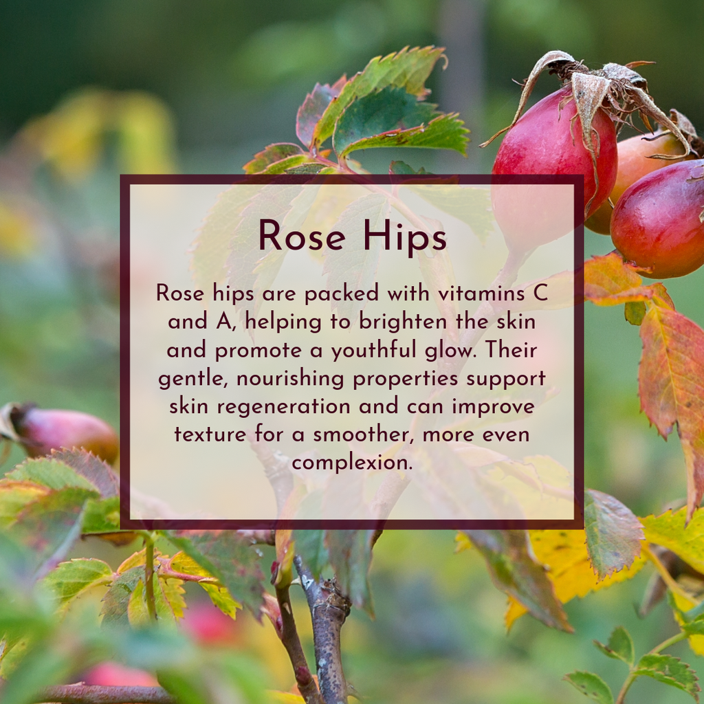 Rose Reverie image 5