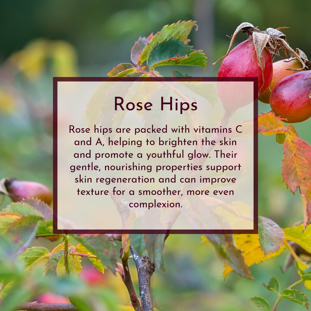 Rose Reverie image 5
